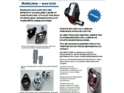 Borejigg BMW EGR